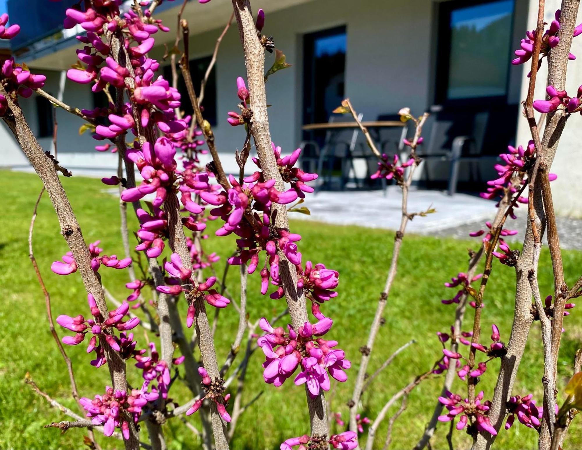 Apartment Bergfieber Fieberbrunn Kültér fotó